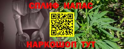 mdpv Краснознаменск