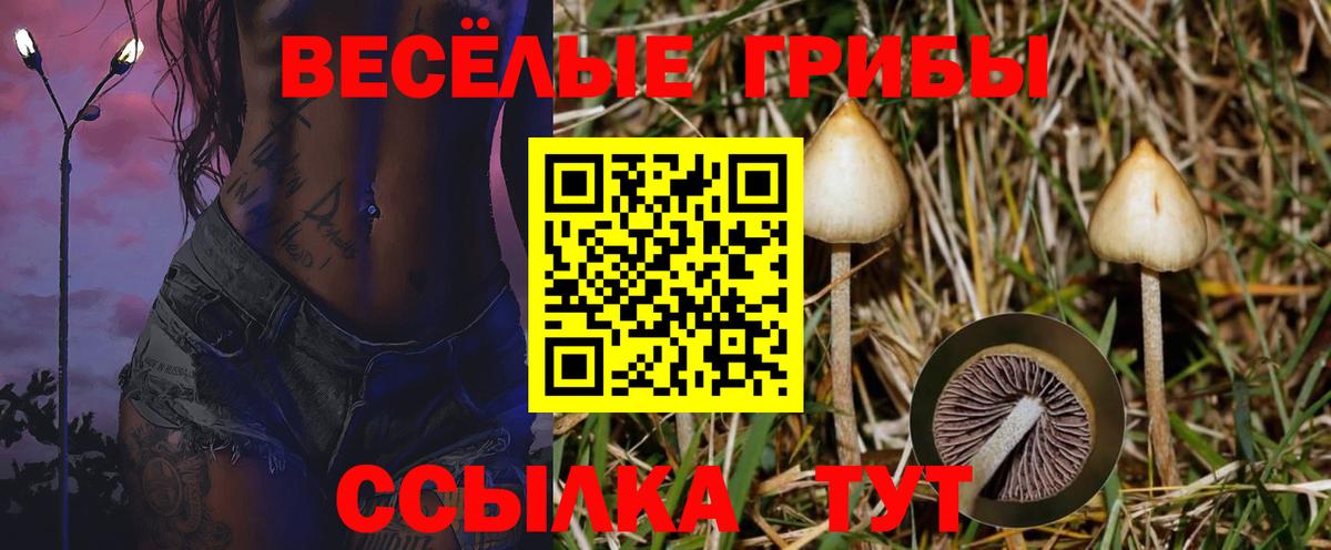 Псилоцибиновые грибы мухоморы Касимов