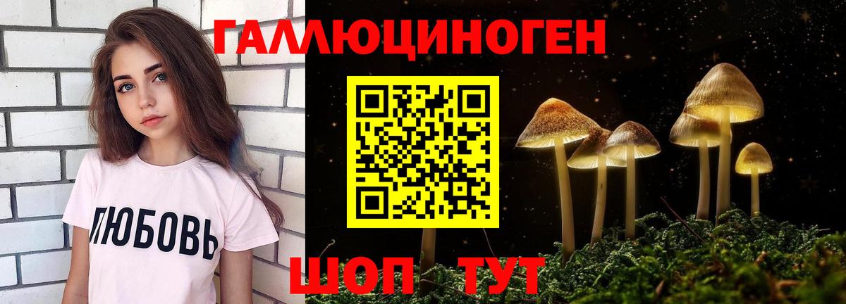 Галлюциногенные грибы прущие грибы  Вход с VPN  Касимов 